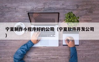 温州宁夏制作小程序好的公司（宁夏软件开发公司）